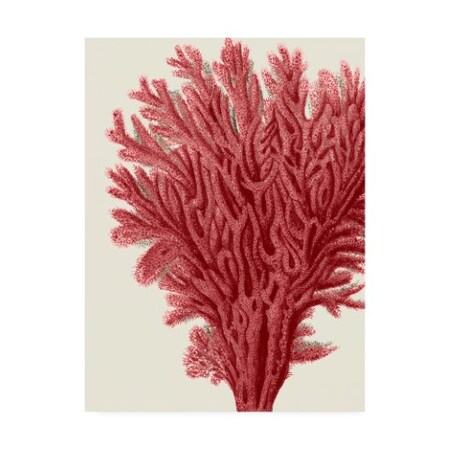 Fab Funky 'Red Corals 2 A' Canvas Art,35x47